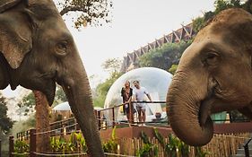 Anantara Golden Triangle Elephant Camp & Resort  5*